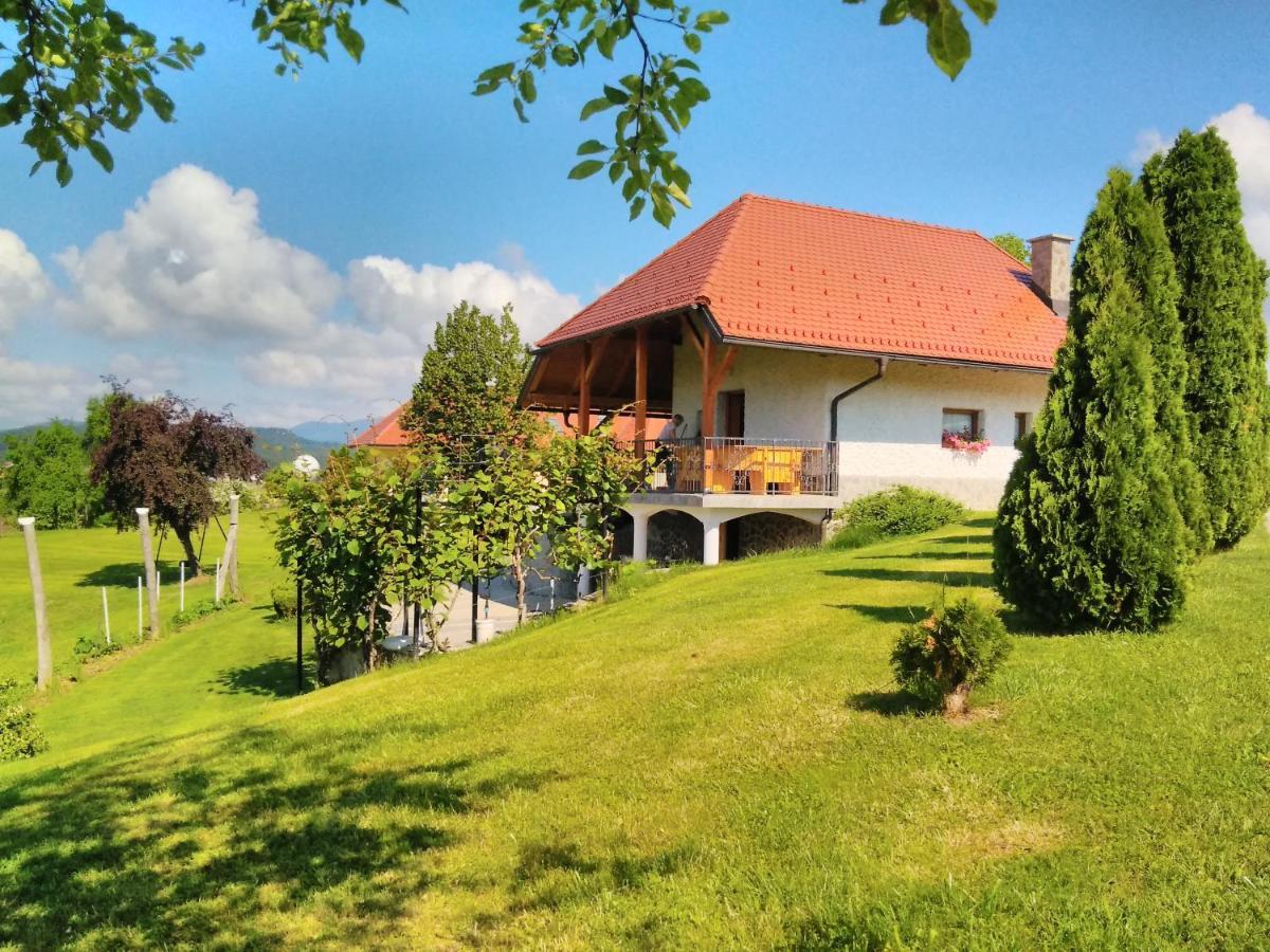 Holiday Home Dobrotin Vojnik Εξωτερικό φωτογραφία