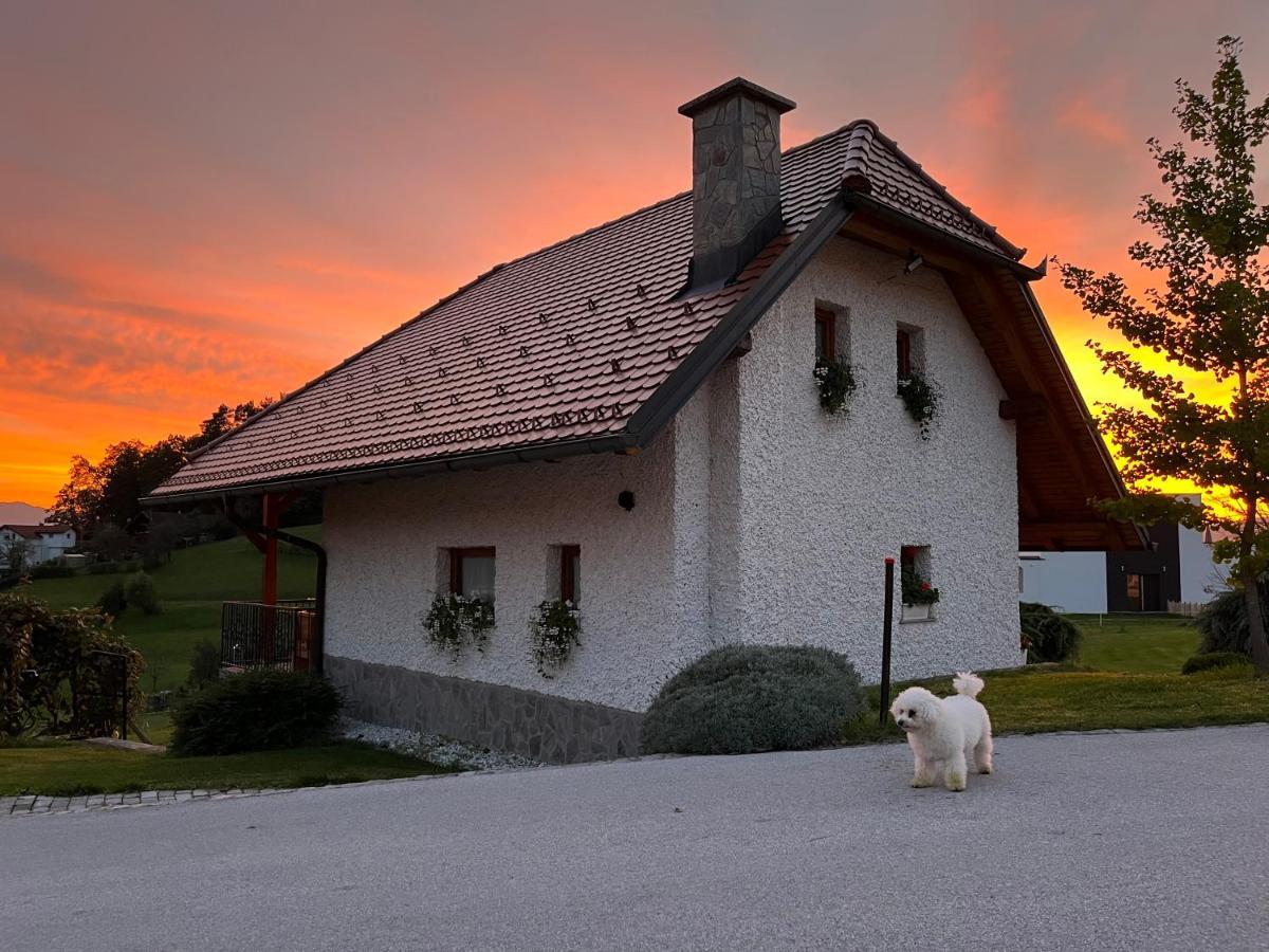 Holiday Home Dobrotin Vojnik Εξωτερικό φωτογραφία