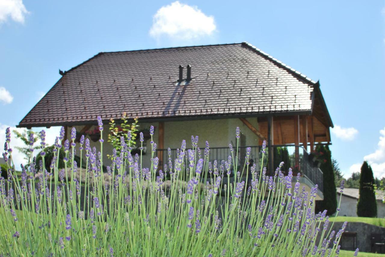 Holiday Home Dobrotin Vojnik Εξωτερικό φωτογραφία