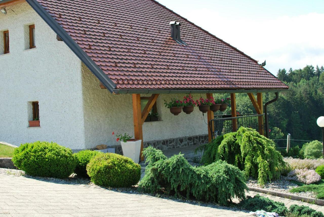 Holiday Home Dobrotin Vojnik Εξωτερικό φωτογραφία