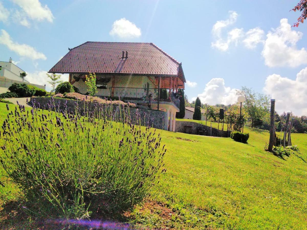 Holiday Home Dobrotin Vojnik Εξωτερικό φωτογραφία